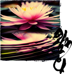 image lotus